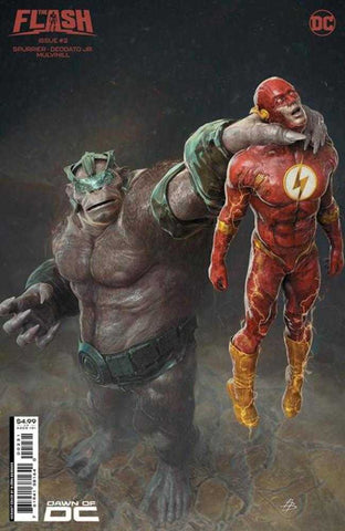 Flash #2 Cover C Bjorn Barends Card Stock Variant