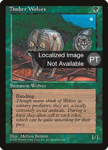 Timber Wolves [Fourth Edition (Foreign Black Border)]