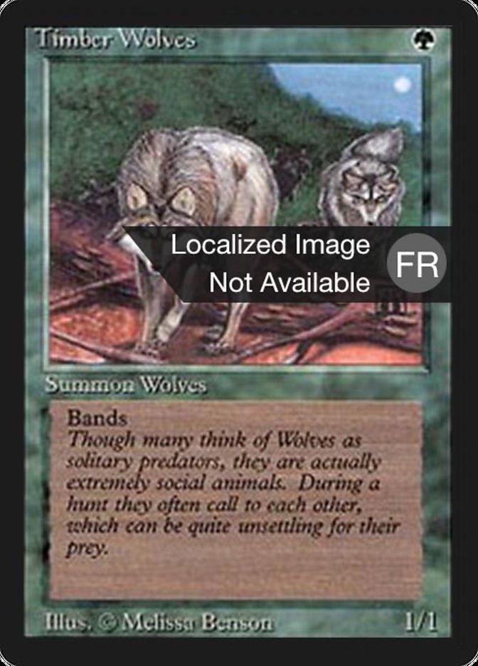 Timber Wolves [Foreign Black Border]